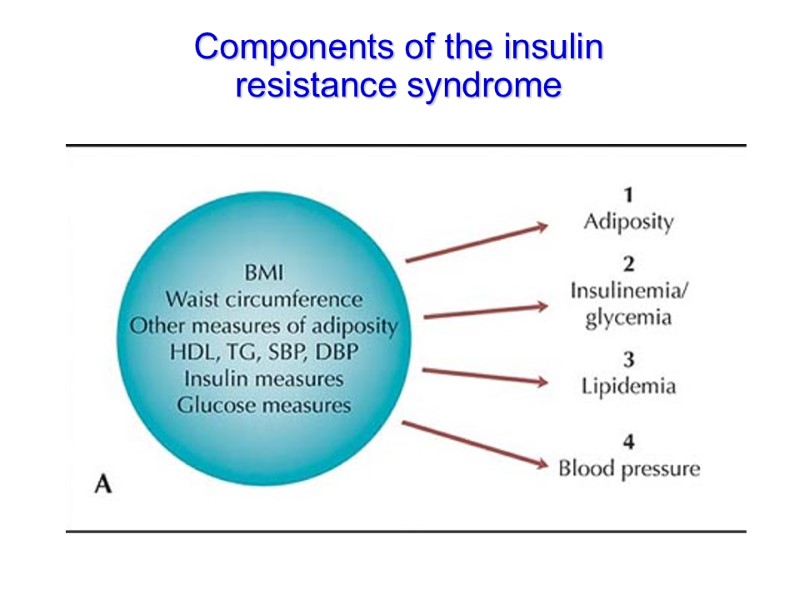 Components of the insulin resistance syndrome